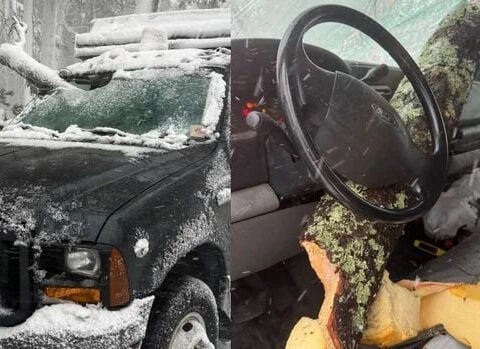 Plow truck driver nearly impaled by falling tree branch during Massachusetts blizzard