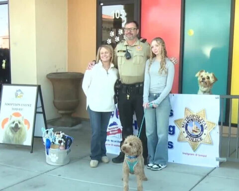 Dog left abandoned at Las Vegas airport adopted by officer who responded and family