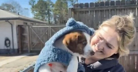 How an act of kindness inspired a nonprofit that's saving puppies