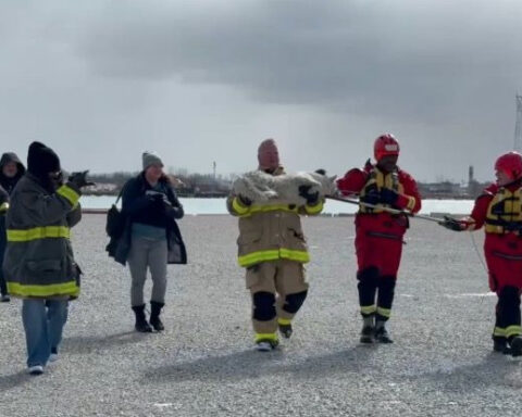 Detroit first responders rescue Siberian Husky stranded on ice near bridge