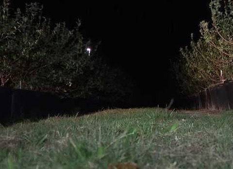 Florida farmers face billions in losses due to cold weather