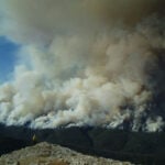 How protecting wilderness could mean purposefully tending it, not just leaving it alone