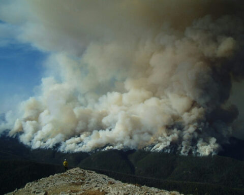 How protecting wilderness could mean purposefully tending it, not just leaving it alone