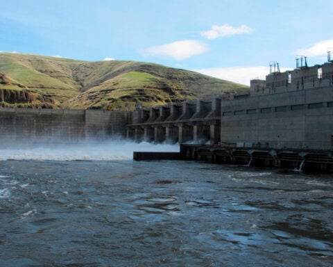 Judge orders changes to Columbia and Snake river dam operations to help 'disappearing' salmon