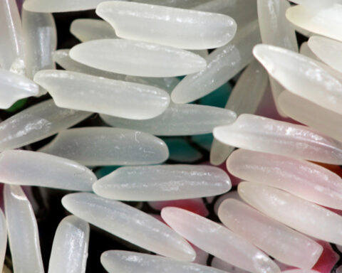 If you're struggling to lose weight, could chilling your carbs help?