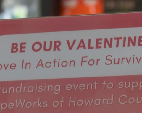 Businesses support domestic violence survivors through a partnership