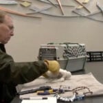 Peregrine falcons thrive in Wisconsin thanks one man's brilliant idea 40 years ago