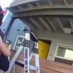 Video captures Milpitas police officers rescuing toddler, dog thrown from burning apartment