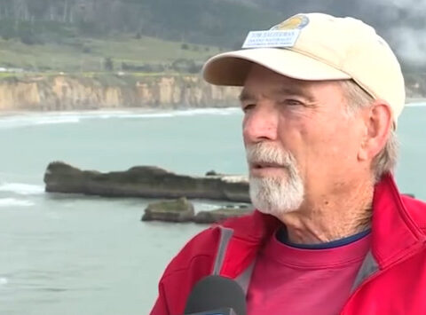Elephant seals at Año Nuevo State Park test positive for avian flu