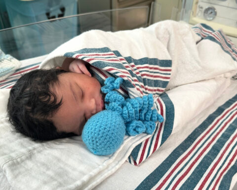 Mom of a preemie crochets colorful yarn octopi for tiny tots at Detroit hospital NICU