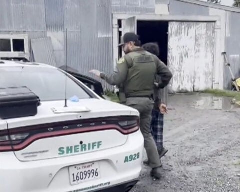 Hundreds of roosters found at California home, suspect faces cockfighting-related charges