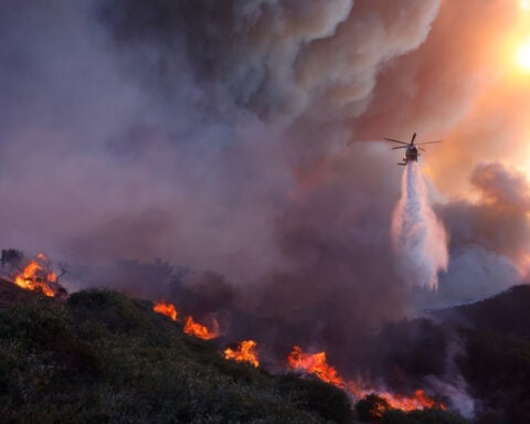 LA firefighter says he warned brush fire wasn't out before massive blaze ignited