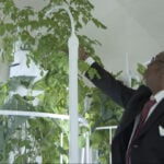 Church uses soil-free garden to feed the community