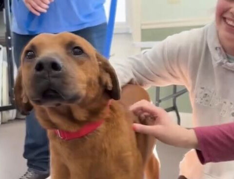 Student donates hundreds of dollars to local animal shelter, using talent show prize money