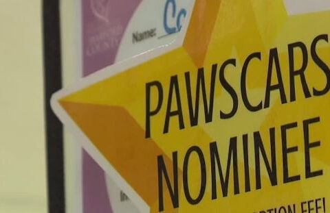 'The Pawscars' to boost senior pet adoptions