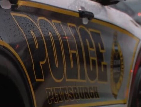 Police accused of unlawfully tasering & arresting man with autism