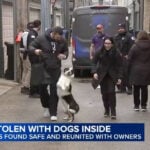 All dogs reunited with owners after grooming van stolen in Chicago