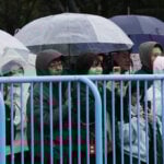 Punch the orphan macaque is outgrowing his plushie and making friends