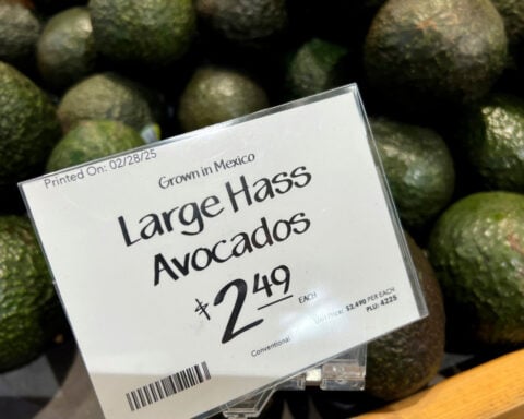 More than 20 states sue over new global tariffs Trump imposed after his stinging Supreme Court loss