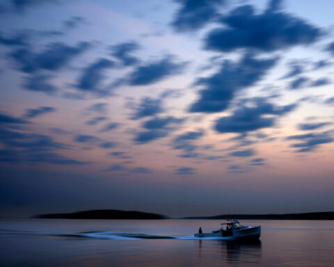 Maine's catch of lobster declines again as high costs and climate change impact industry