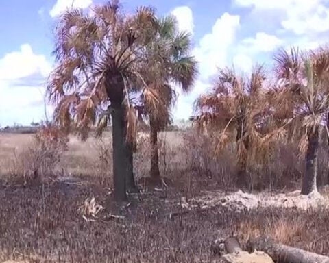 National Fire grows to more than 35,000 acres; now 64% contained