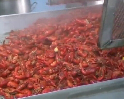 State leaders call on Washington as restaurants feel impacts of crawfish shortage