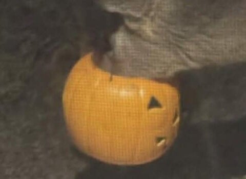 Community concerned after deer spotted with Halloween bucket stuck on its head