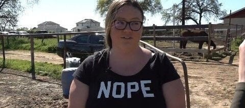 Woman pleads for safe return of two missing horses