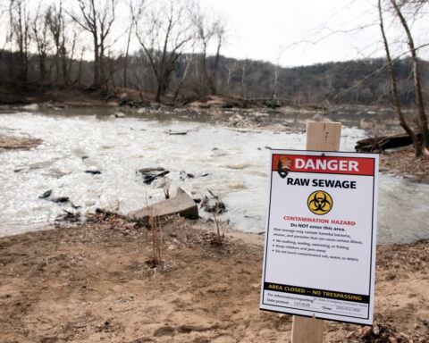 A Virginia boater is suing a Washington utility for the Potomac River sewage spill