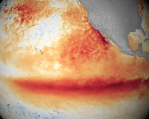 El Niño could be here soon, bringing wild weather and a hotter climate