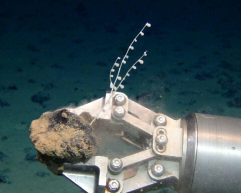 Mining the ocean floor: 5 deep-sea sources of critical minerals essential to technology, and the fragile marine life at risk