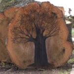 Art piece remembers familiar tree lost during winter storm
