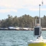 Satellite-driven research helps oyster farmers choose sites with more confidence