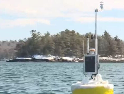 Satellite-driven research helps oyster farmers choose sites with more confidence