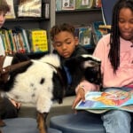 Meet the goats helping kids build confidence at school