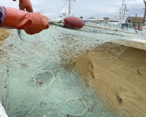 Fishermen want a voice in the science that controls their future