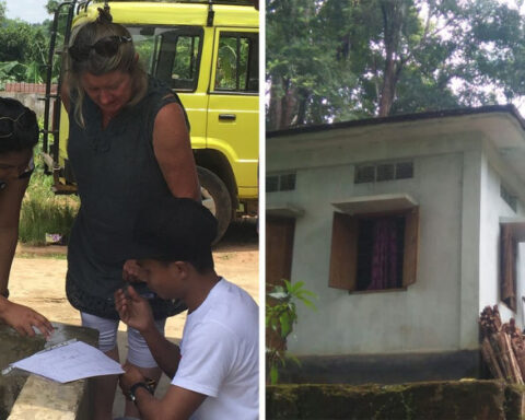 DNA from a tiny but mighty insect could help reveal the timeline for prehistoric humans