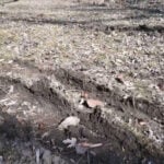 Delivery gone wrong: FedEx truck driver goes through homeowner’s yard