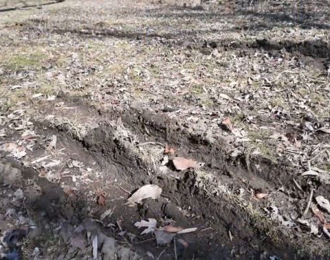 Delivery gone wrong: FedEx truck driver goes through homeowner’s yard