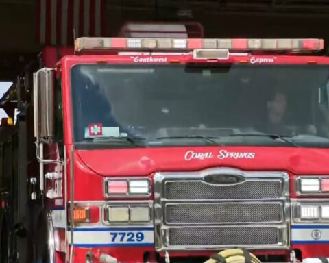 Firefighters get a once-in-a-career call: rescuing a woman's pet snake from underneath her car