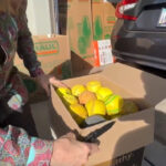 Ahwatukee residents say foul balls from nearby school are causing damage and safety concerns