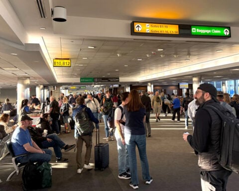 A strong chemical smell forces a 1-hour flight halt at 4 major DC-area airports