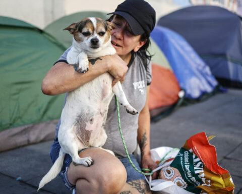 A pet-friendly homeless shelter pilot reduced the rate of homelessness among the people it helped in California