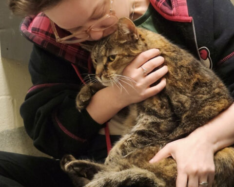 Cat reunited with owner after five years, microchip makes the difference