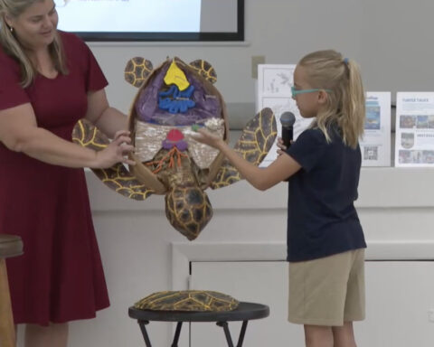 Meet the 9-year-old author inspiring kids to love sea turtles