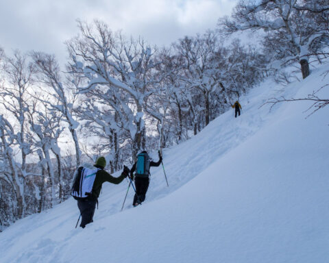 This powder paradise in Japan is a magnet for tourists. Locals say the party is getting out of hand