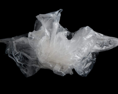 Researchers develop biodegradable, plant-based packaging from natural fibers – new research