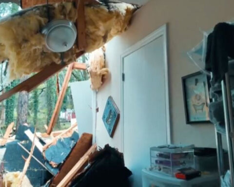 Fallen tree destroys home during storms, 95-year-old escapes in time