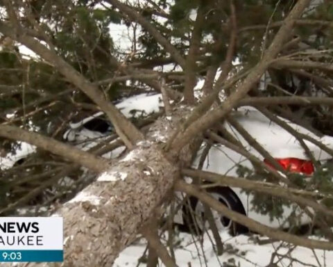 'Glad it didn't hit the house’: Blizzard causes downed trees, power outages in Wisconsin