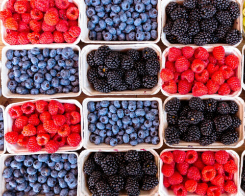 Brain aging slowed by over 2 years with unique diet